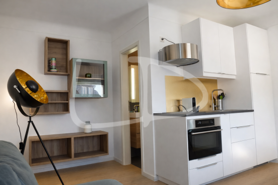 Appartement moderne avec kitchenette et salon.png